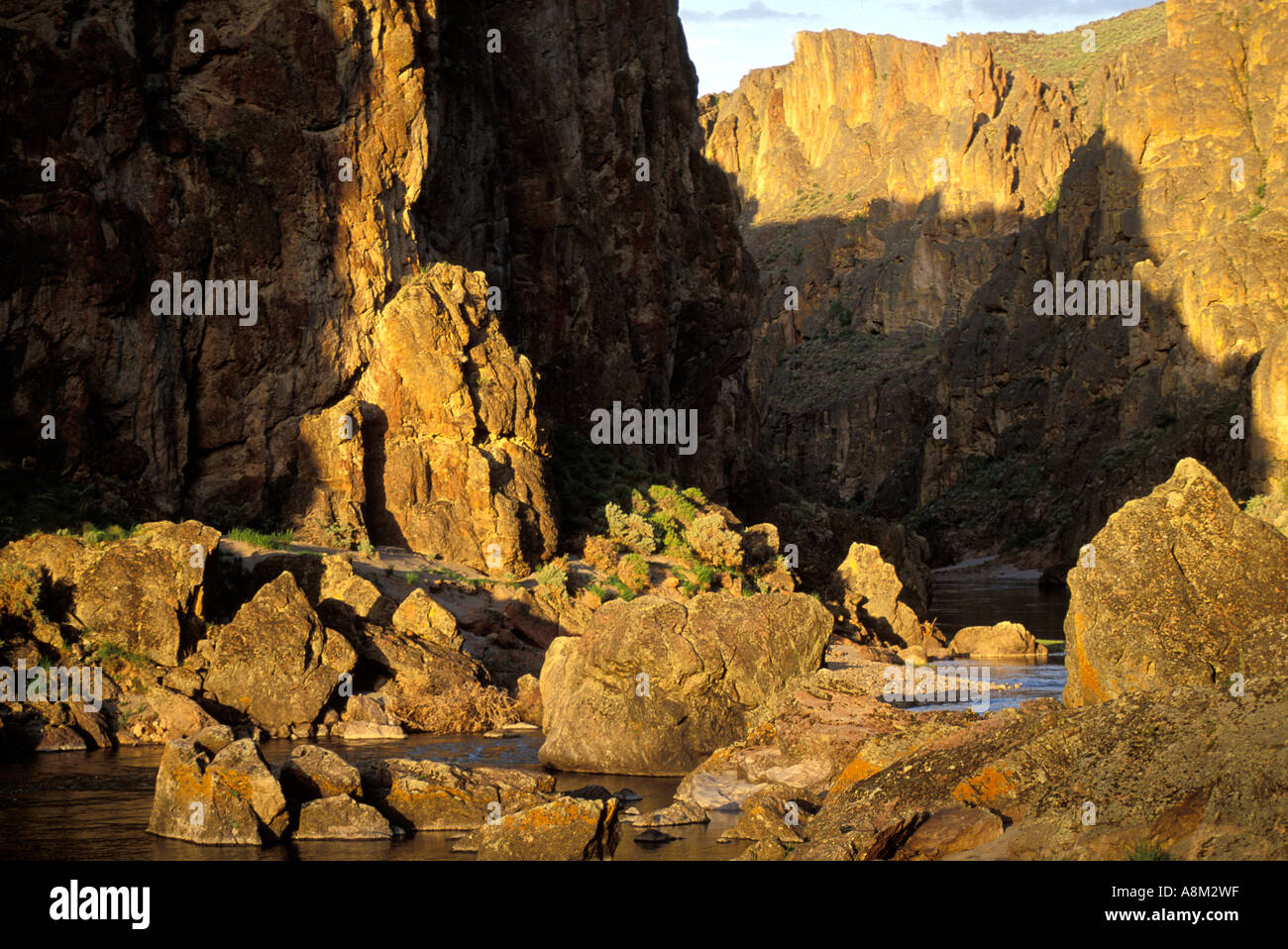 USA Idaho Montana paysage pittoresque vue de la partie supérieure de la Valley Canyon dans la lumière chaude soirée Canyonlands Banque D'Images