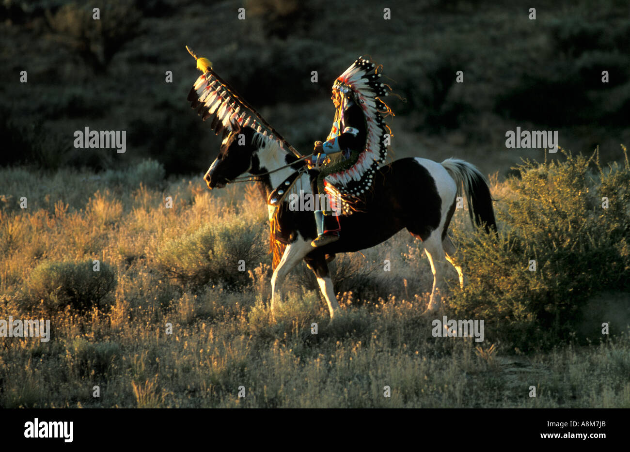 USA IDAHO Native American Indian Man en robe traditionnelle équitation un cheval peint tribu shoshone Bannock MR Banque D'Images