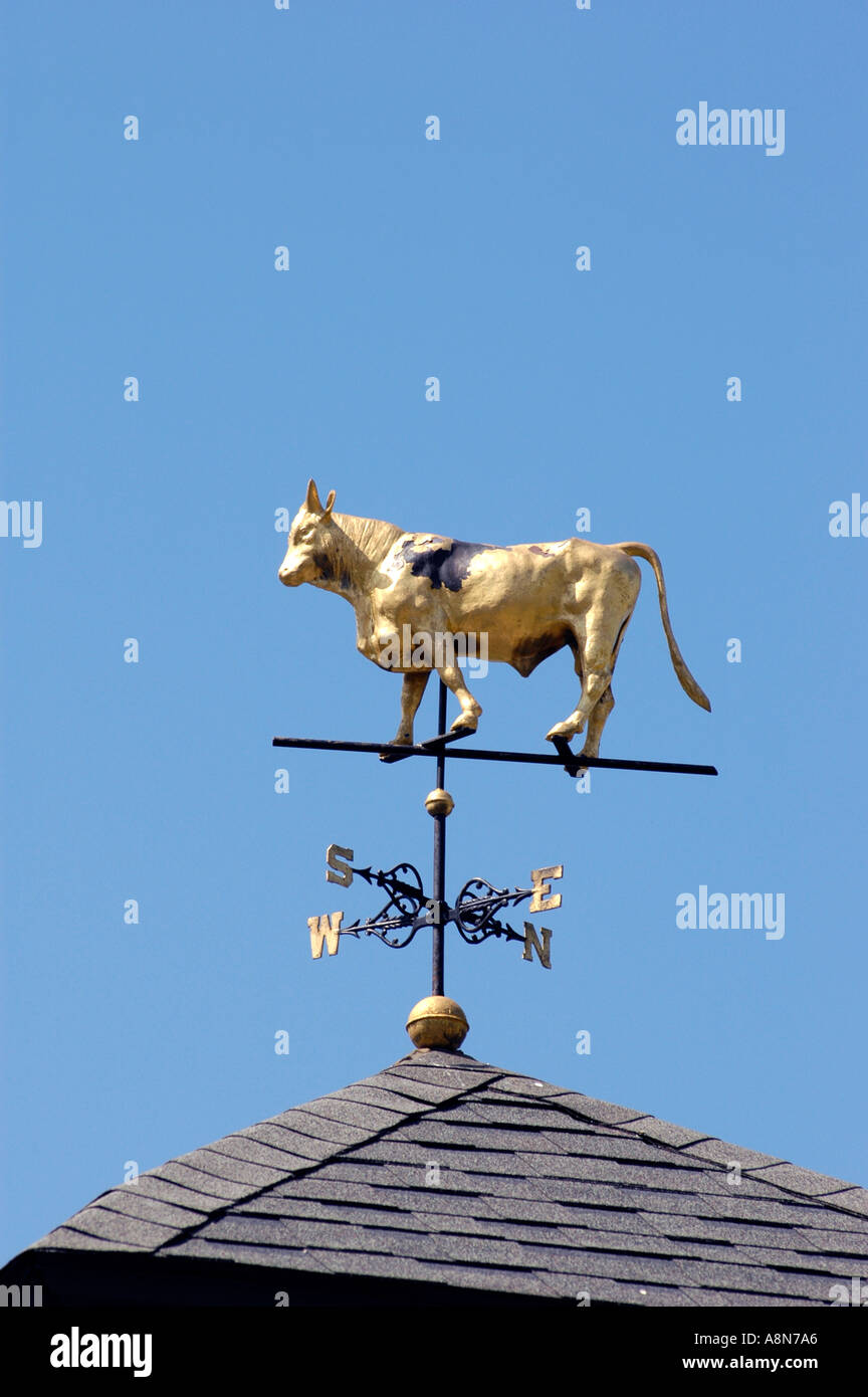 Weathervane montrant les directions du vent qui a une vache dessus Banque D'Images