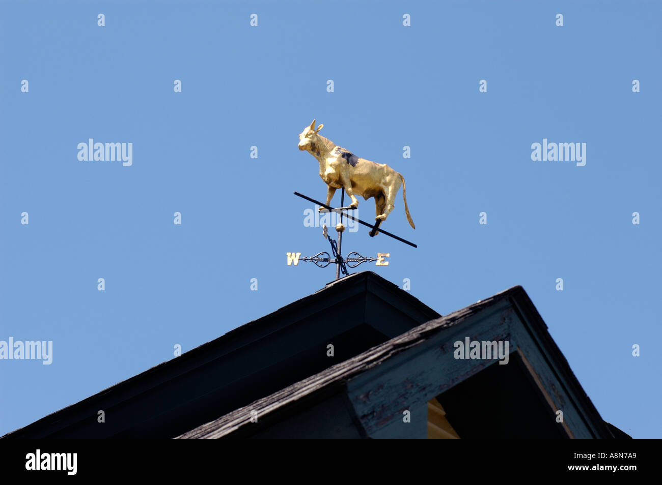 Weathervane montrant les directions du vent qui a une vache dessus Banque D'Images