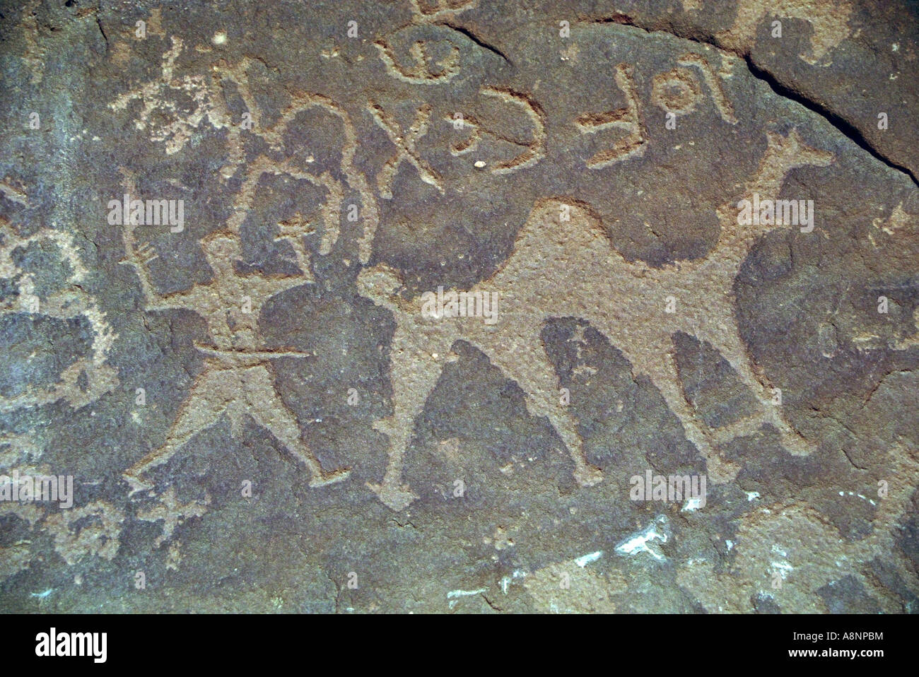 L'art rupestre - Wadi Rum, JORDANIE Banque D'Images