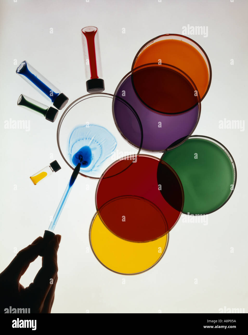 Les procédures de recherche en laboratoire Banque D'Images