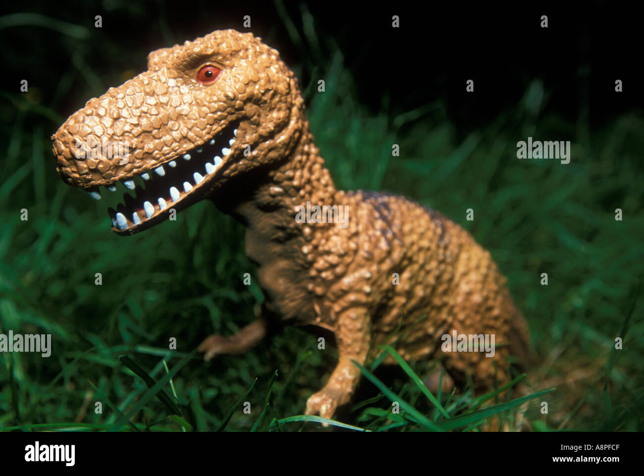 Jouet en plastique dinosaure Tyrannosaurus Banque D'Images