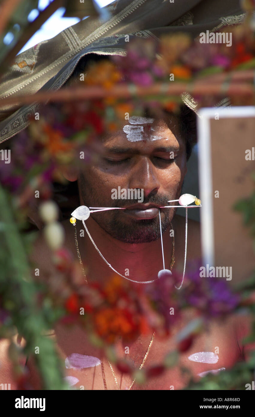 Festival hindou de thaipusam cavadee Banque D'Images
