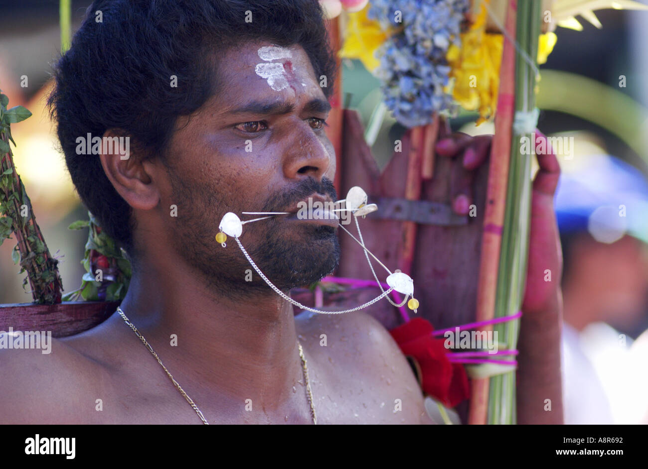 Festival hindou de thaipusam cavadee Banque D'Images