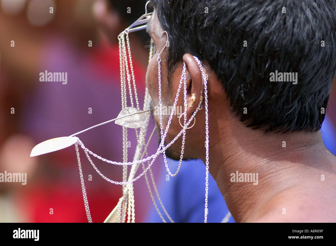 Festival hindou de thaipusam cavadee Banque D'Images