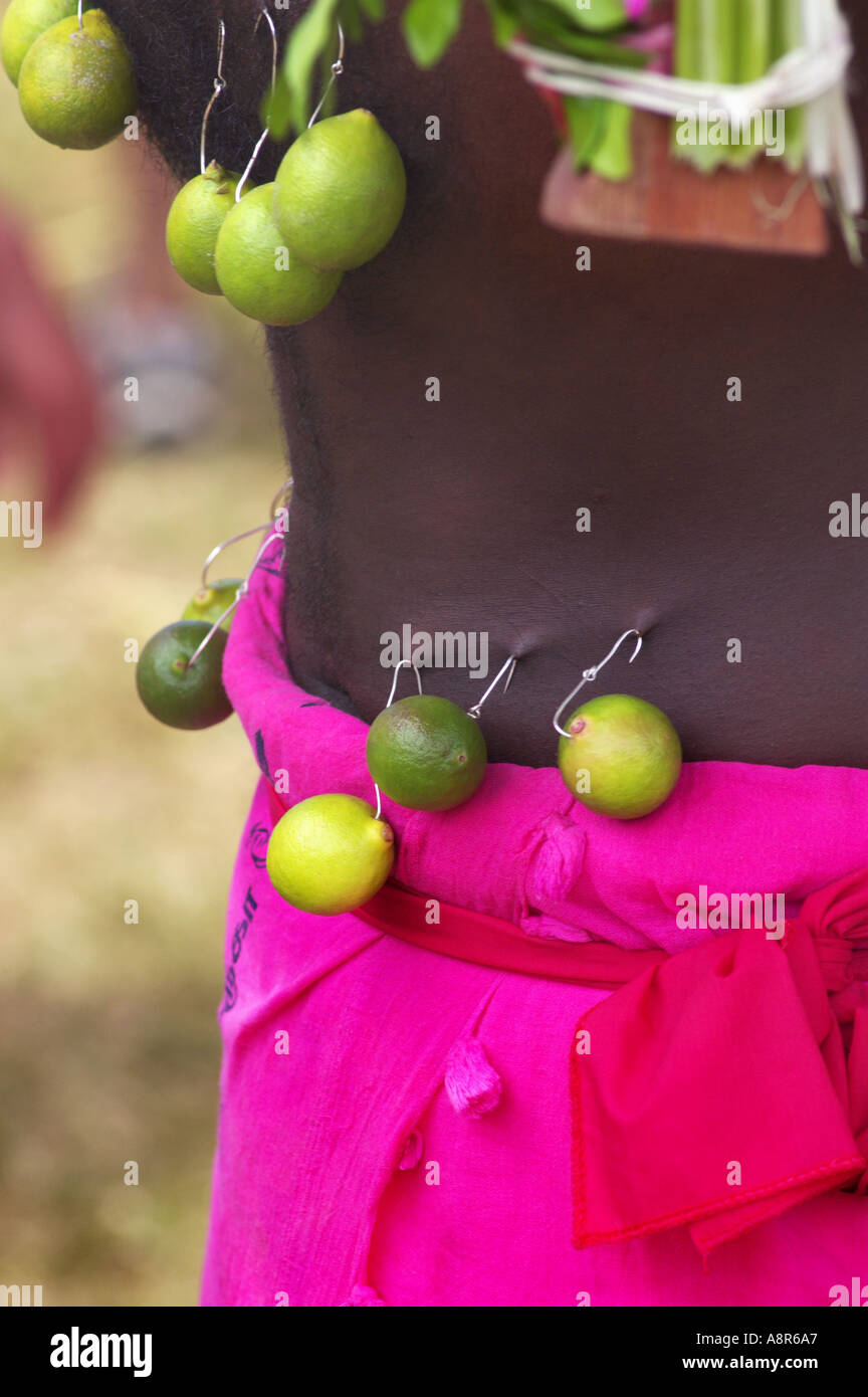 Festival hindou de thaipusam cavadee Banque D'Images