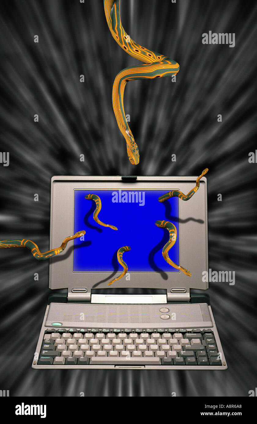 Worm Virus informatique Banque D'Images