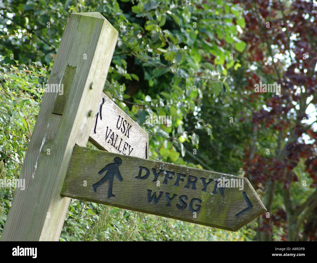 L'Usk Valley à pied Llantrisant South Wales UK 2004 Banque D'Images