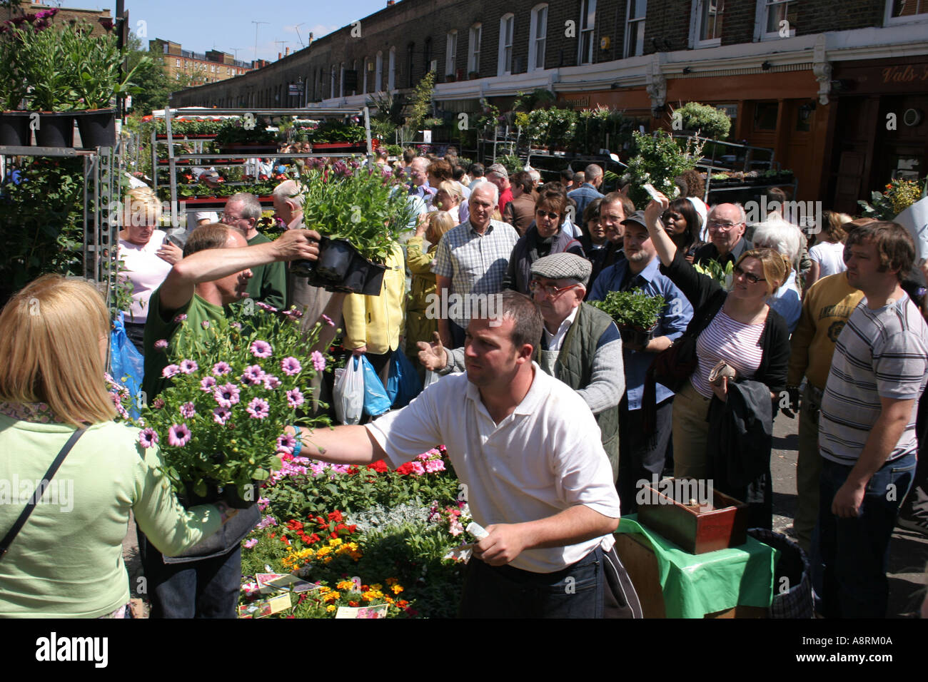 Columbia Road Flower Market célèbre de Londres dimanche matin marché aux fleurs Shoreditch Londres Angleterre Banque D'Images