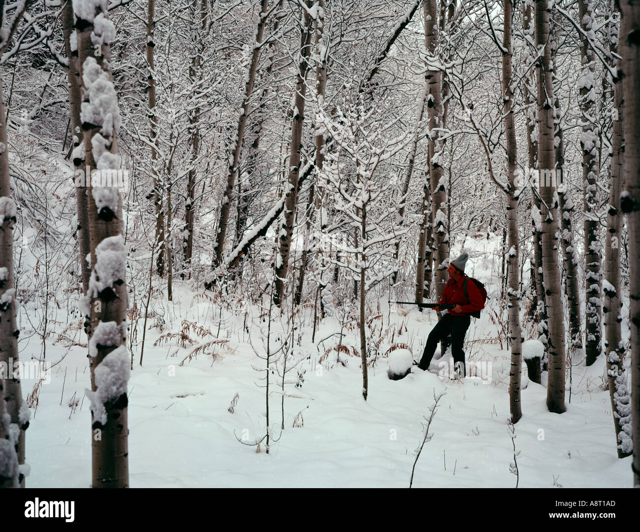 La chasse d'hiver après une tempête a recouvert de neige avec de nouveaux paysages Banque D'Images