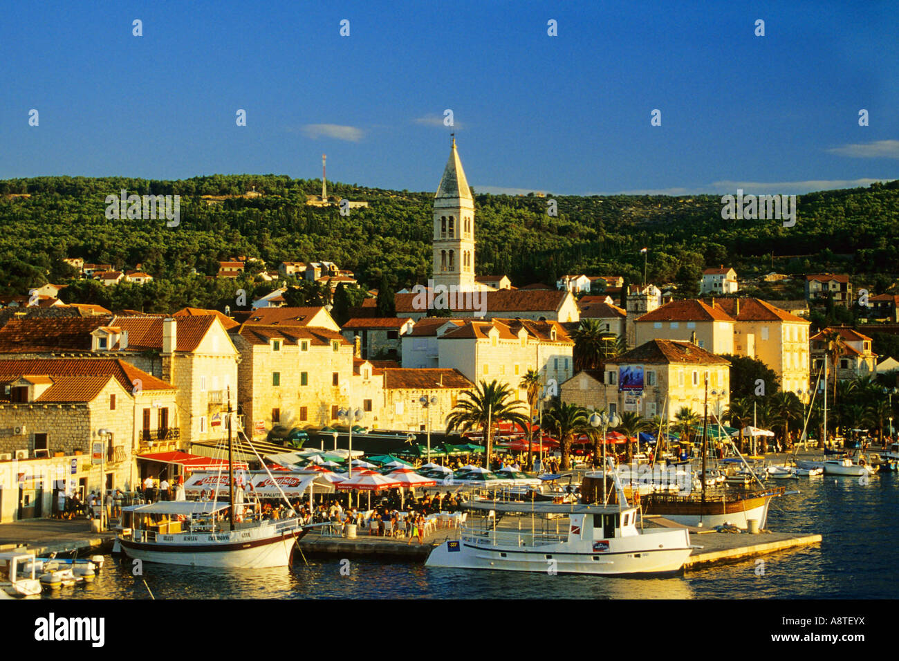 Vieille Ville avec port et bateaux, Croatie, Dalmatien, Brak Banque D'Images