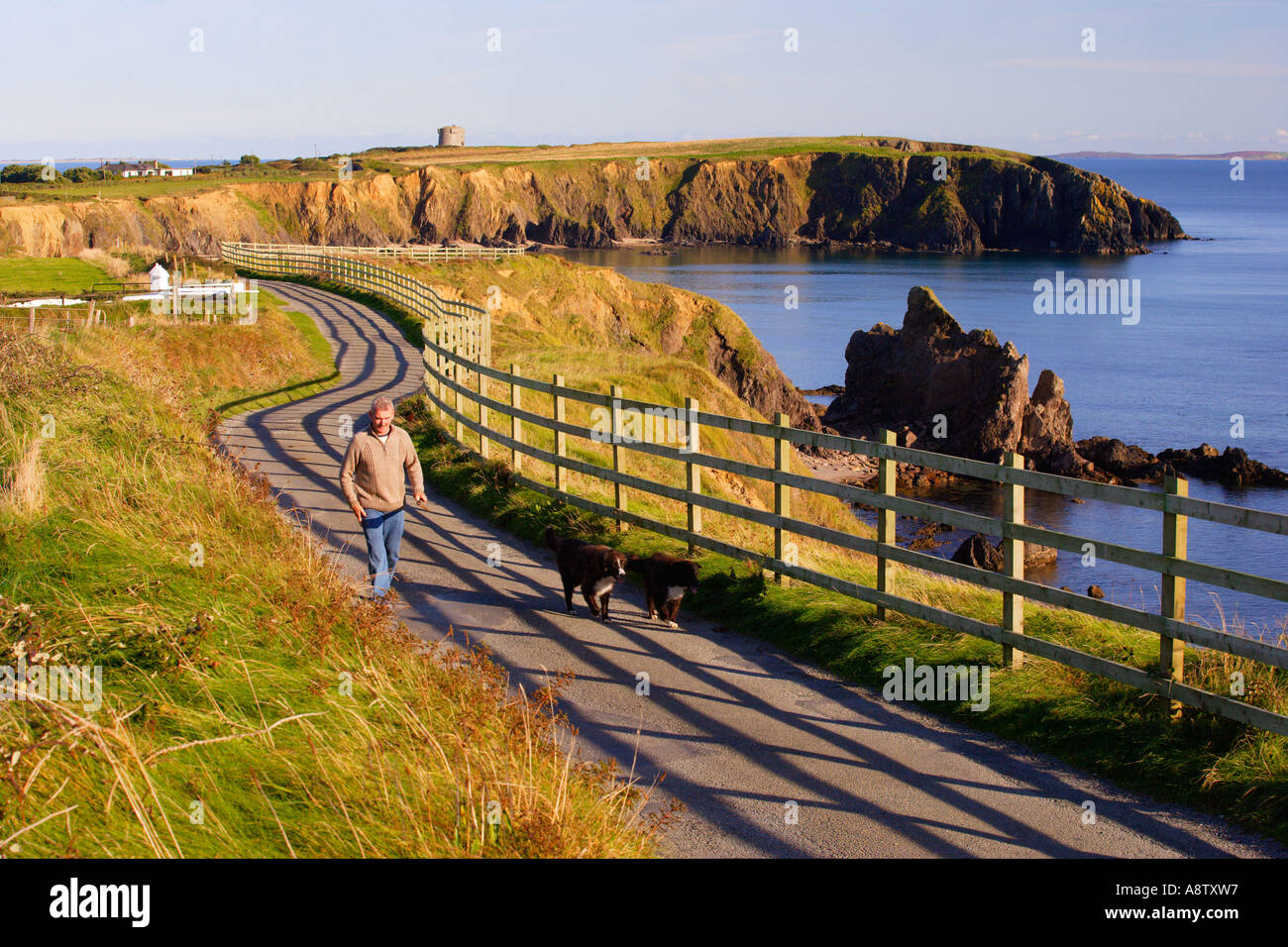 La marche des chiens à cairnavon bay comté de Wexford Irlande Banque D'Images