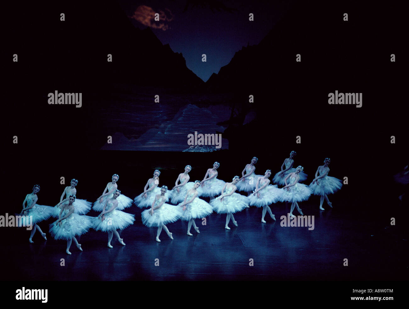 Bac 2007 Lac des cygnes ballet à Melbourne Arts Centre. L'Australie. Banque D'Images