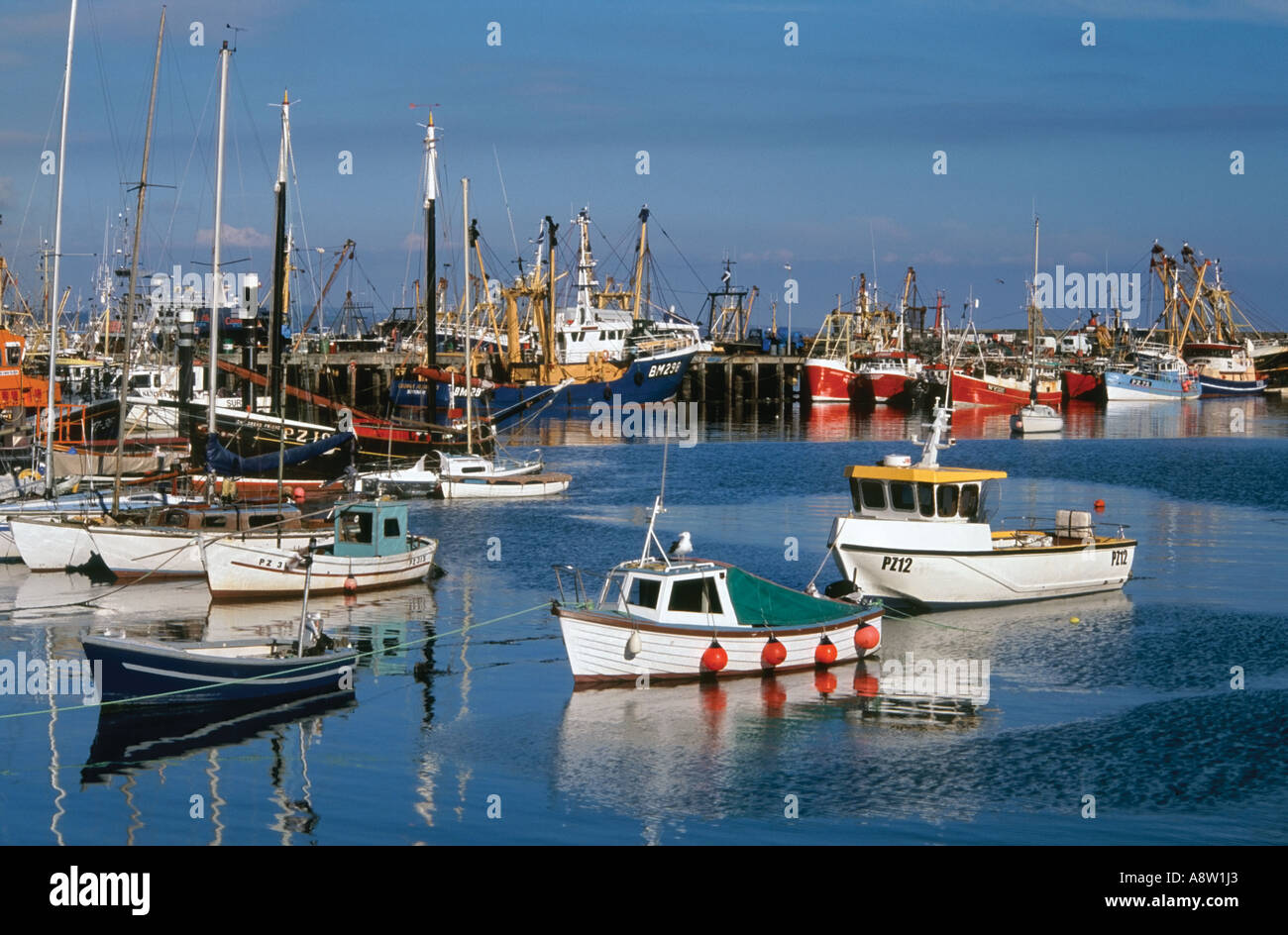 Bateaux de pêche dans le port de Newlyn, West Cornwall, England, UK Banque D'Images