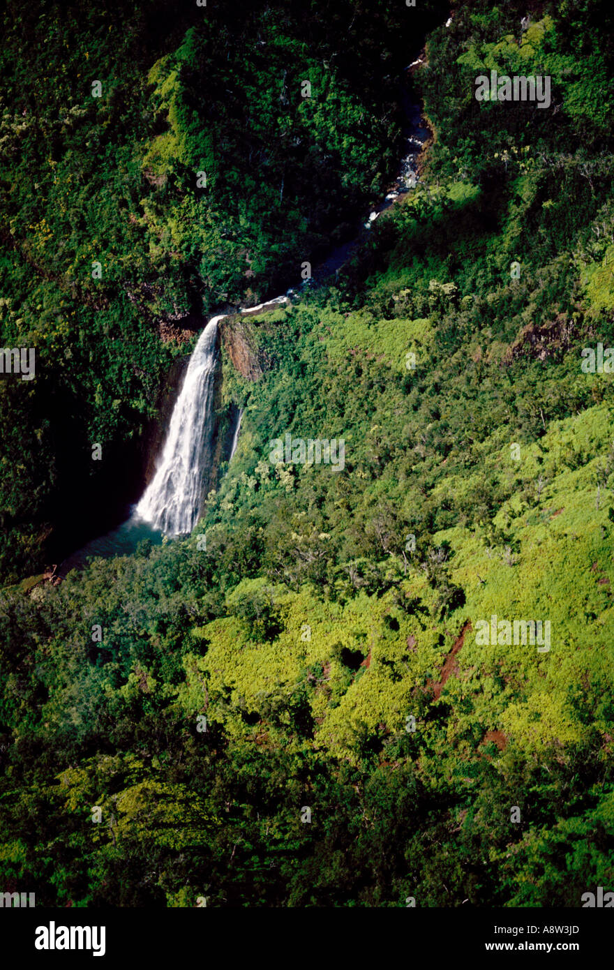 Manawaiopuna Chutes et le Canyon de Waimea paysage de montagne de l'île de Kauai Hawaii United States Banque D'Images