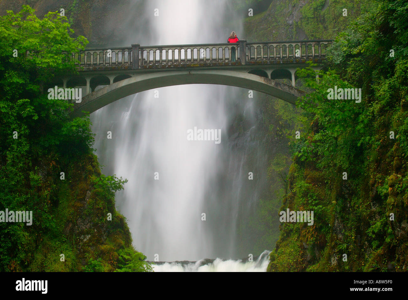 Un visiteur sur le pont et les chutes de Multnomah Columbia River Gorge National Scenic Area Oregon Banque D'Images