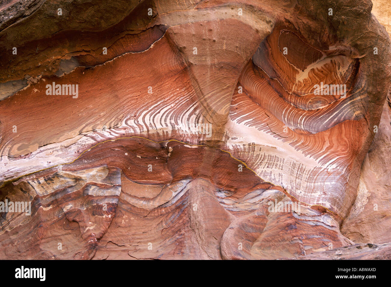 Couleurs et motifs de l'extraordinaire rocher de grès à Petra en Jordanie Banque D'Images