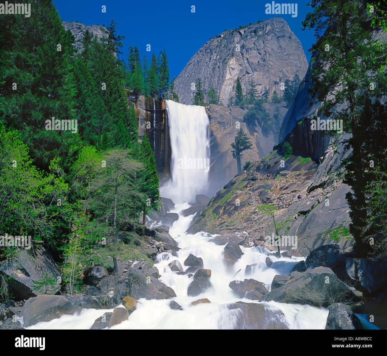 Chutes Vernal dans Yosemite National Park California USA Banque D'Images