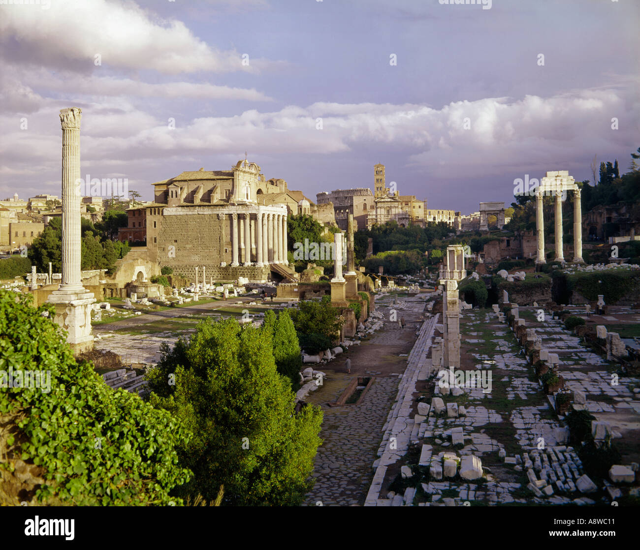 Les ruines antiques du Forum à Rome Italie Banque D'Images