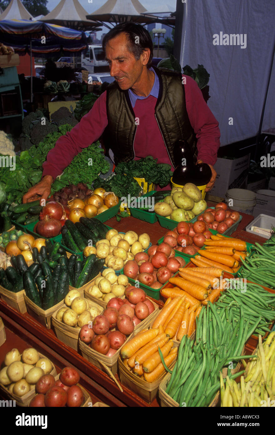 L'homme canadien-français, français-Canada, l'homme, homme adulte, la vente de fruits et légumes, Marché Atwater, Montréal, Québec, Canada Banque D'Images