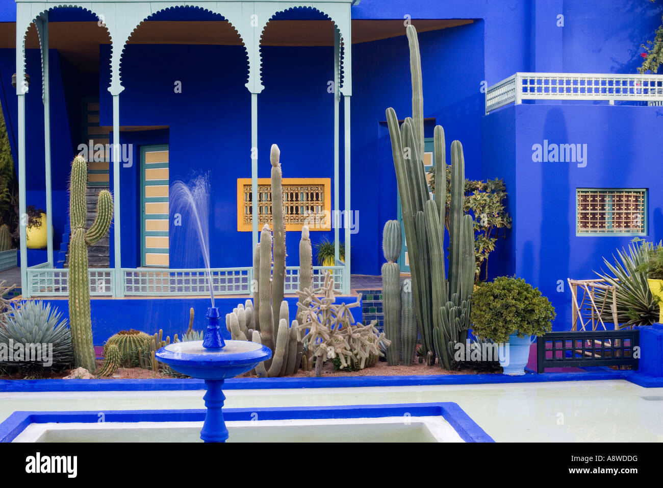 Jardins Majorelle Marrakech Maroc Banque D'Images