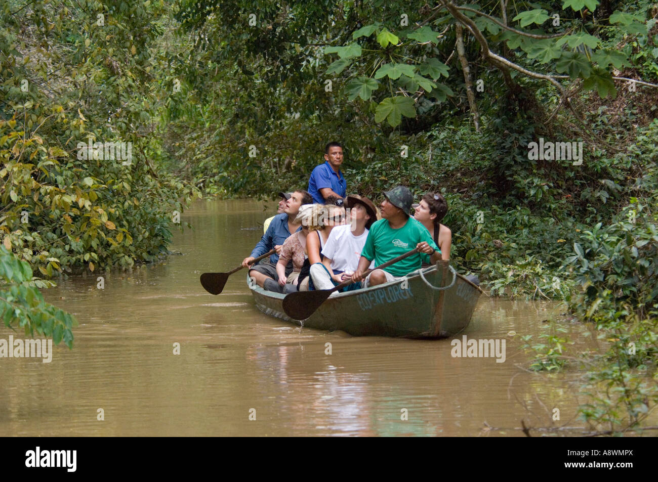 Un groupe de touristes sur un voyage en canot sur un affluent de l'Amazone  Photo Stock - Alamy
