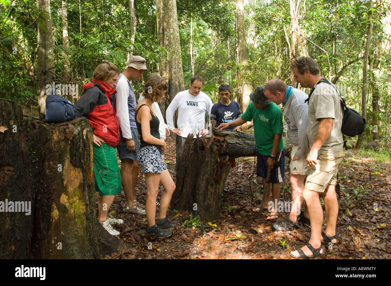 Un guide montrant et l'enseignement d'un groupe de touristes sur la flore et la faune de la forêt tropicale brésilienne primaire. Banque D'Images