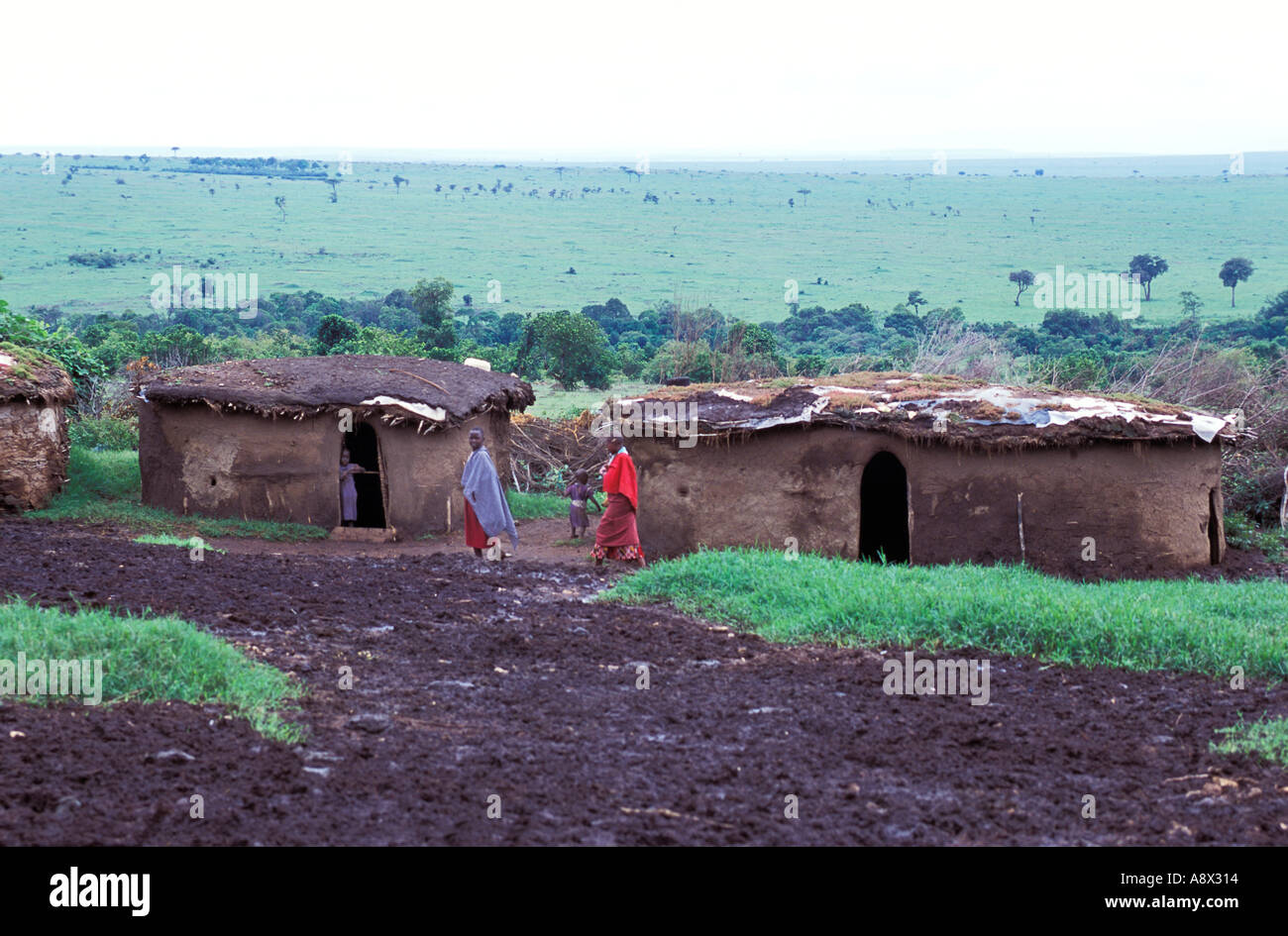 La réserve de Masai Mara KENYA Manyatta village de maisons circulaires traditionnels faits de fumier de vache et entouré d'une clôture d'épines à p Banque D'Images
