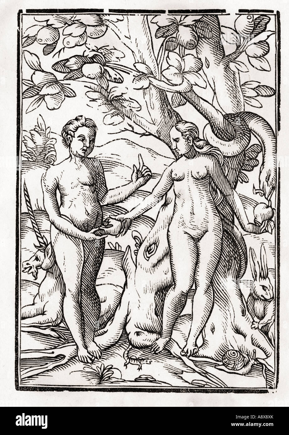Adam et Eve dans le jardin d'Eden de Der Tanz Todten ou la danse de la mort de Bâle 1843 publié Banque D'Images