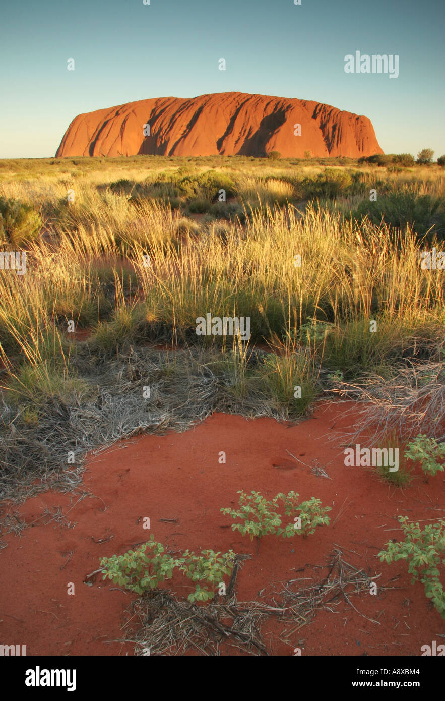 Uluru, dans le Territoire du Nord Australie Banque D'Images