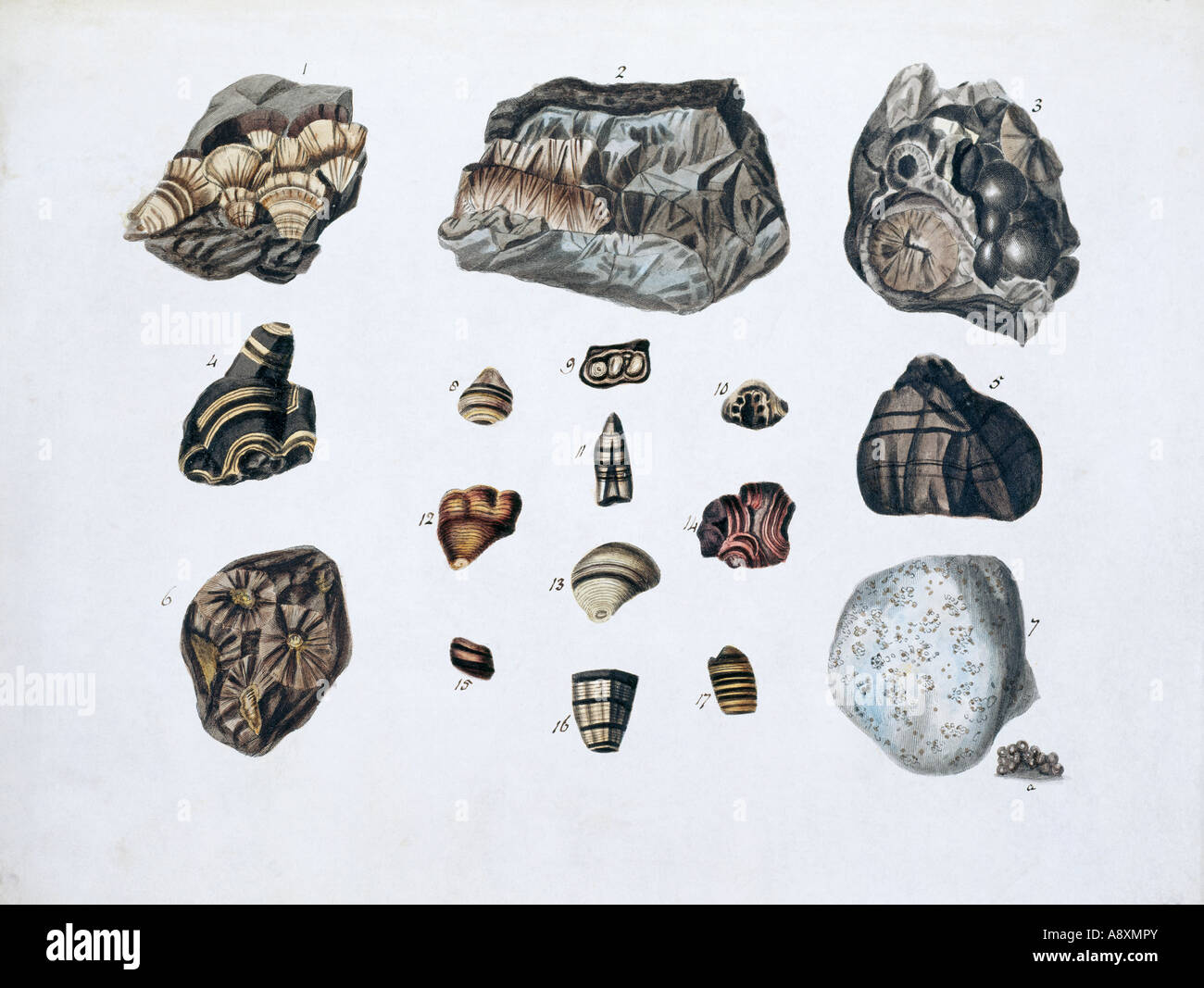 2a à partir de spécimens de minéraux Britannique Vol 1 par P Rashleigh 1797 Banque D'Images