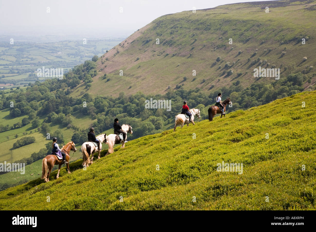 Croisement poney Offa's Dyke long distance sentier dans la Montagne Noire près de Llanthony Wales UK Banque D'Images