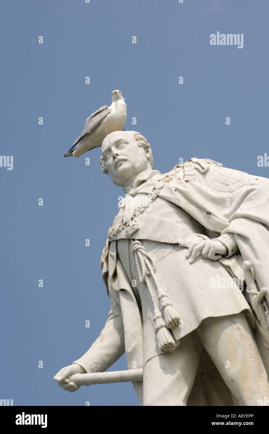 Statue en marbre blanc de Prince Albert, époux de la reine Victoria, le Pays de Galles à Cardiff avec seagull perché sur sa tête après-midi d'été Banque D'Images