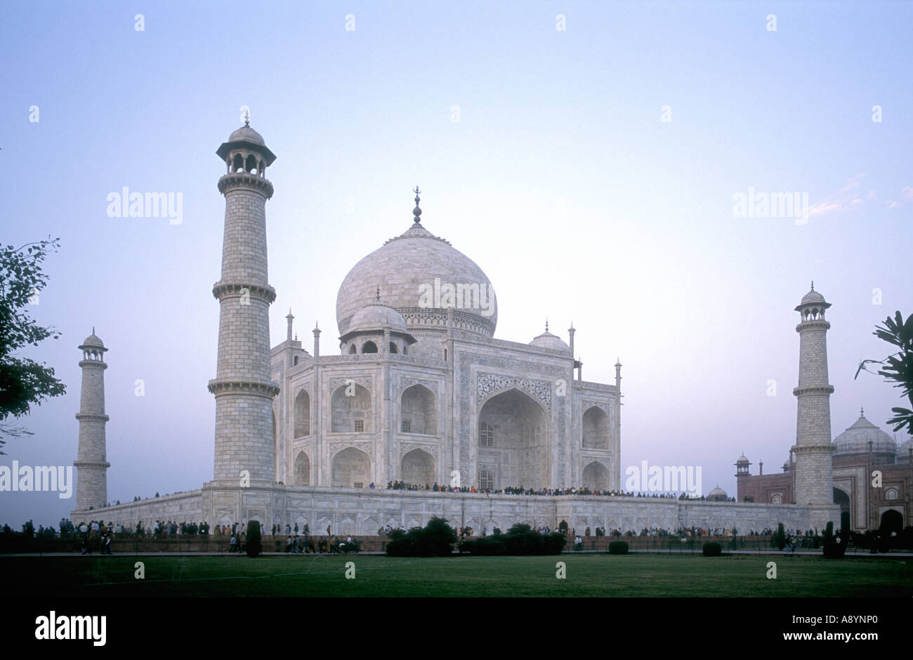 Le Taj Mahal à Agra la lumière de fin de soirée l'Uttar Pradesh, Inde Banque D'Images
