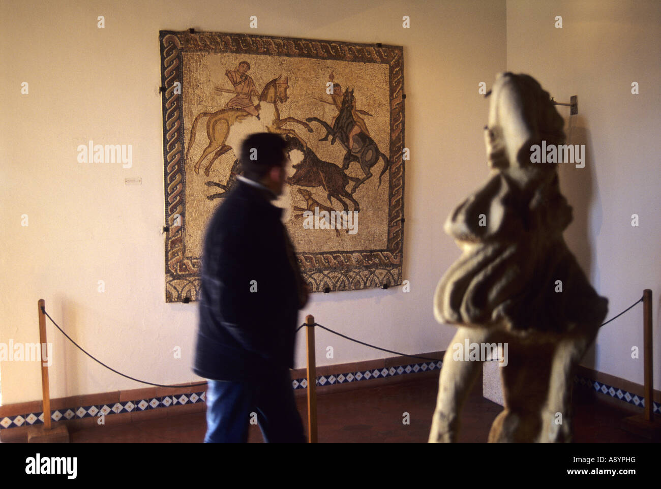 Détail de la mosaïque romaine du musée en scène de chasse Caceres Caceres Estrémadure Espagne Veletas Palace Banque D'Images