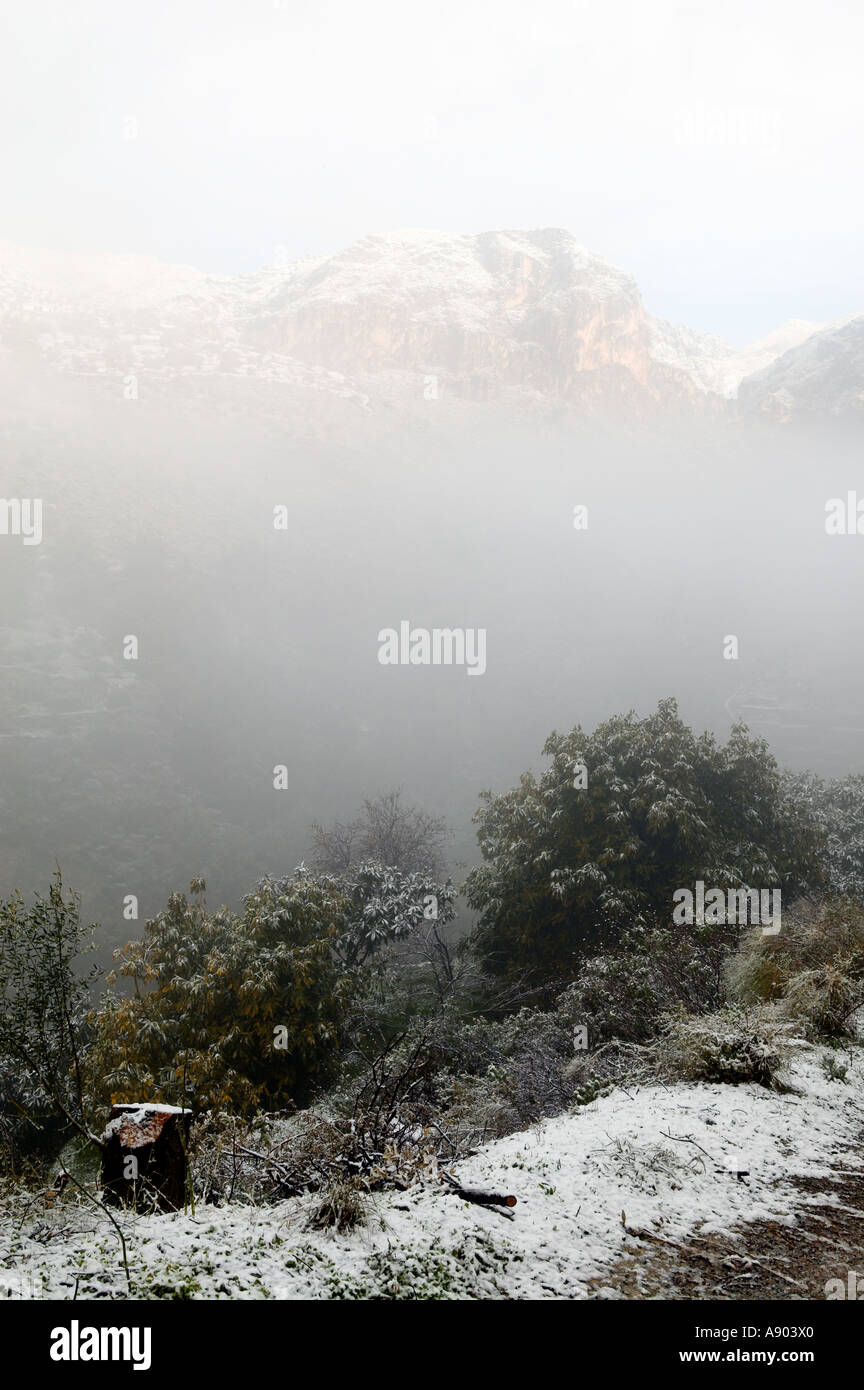 Parque Natural de las Sierras de Tejeda y Almijara. L'Andalousie. Espagne Banque D'Images