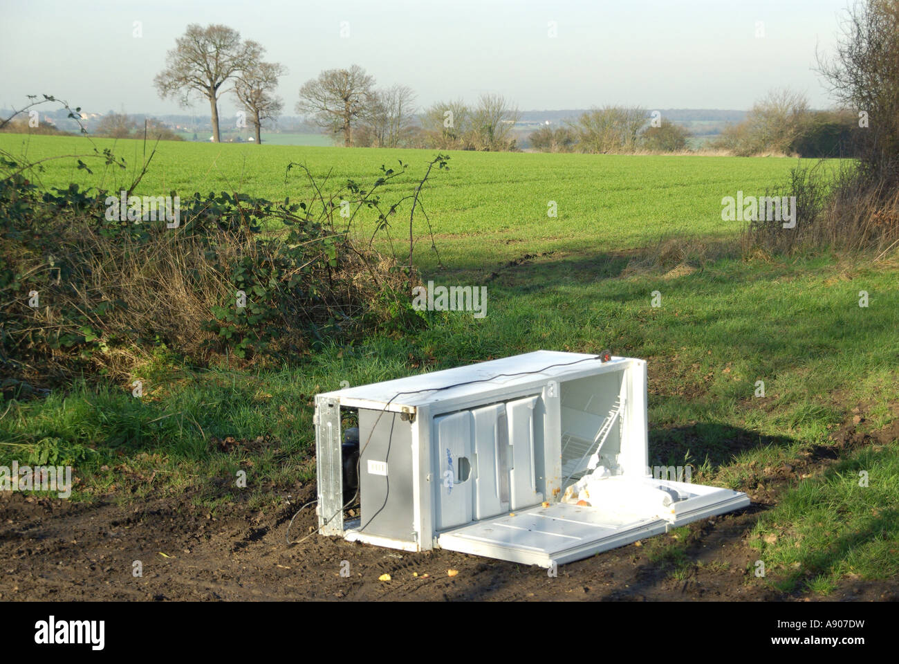 Les décharges sauvages de grands biens blanc réfrigérateur congélateur appareil électrique à côté de la route faisant l'objet d'un chemin de campagne en campagne agricole Essex England UK Banque D'Images