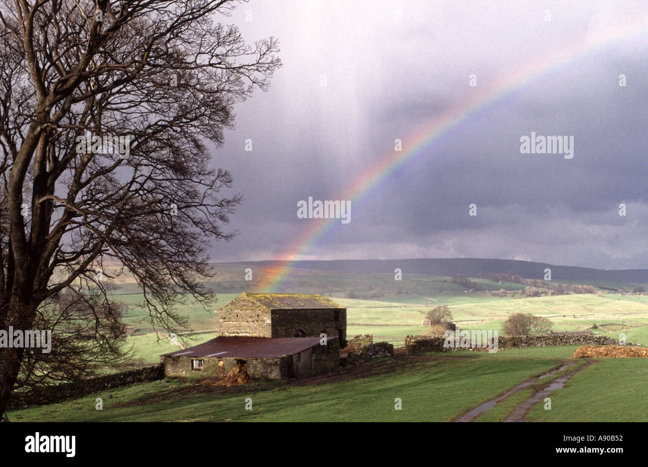 Hawes périphérie en Amérique du Yorkshirea douche pluie d'hiver produit un arc-en-ciel sur ancienne grange en pierre dans les terres agricoles en campagne avec arbre hiver UK Banque D'Images