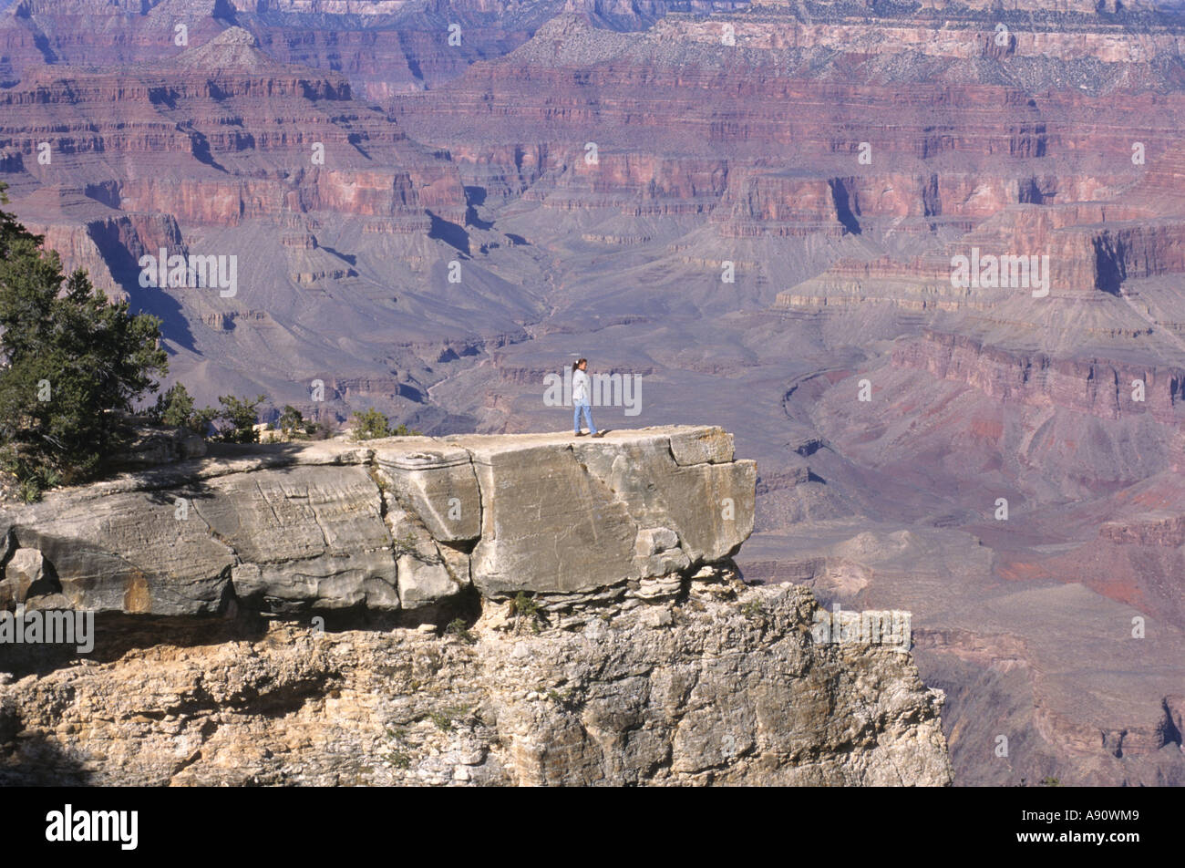 Grand Canyon, Arizona, United States Banque D'Images