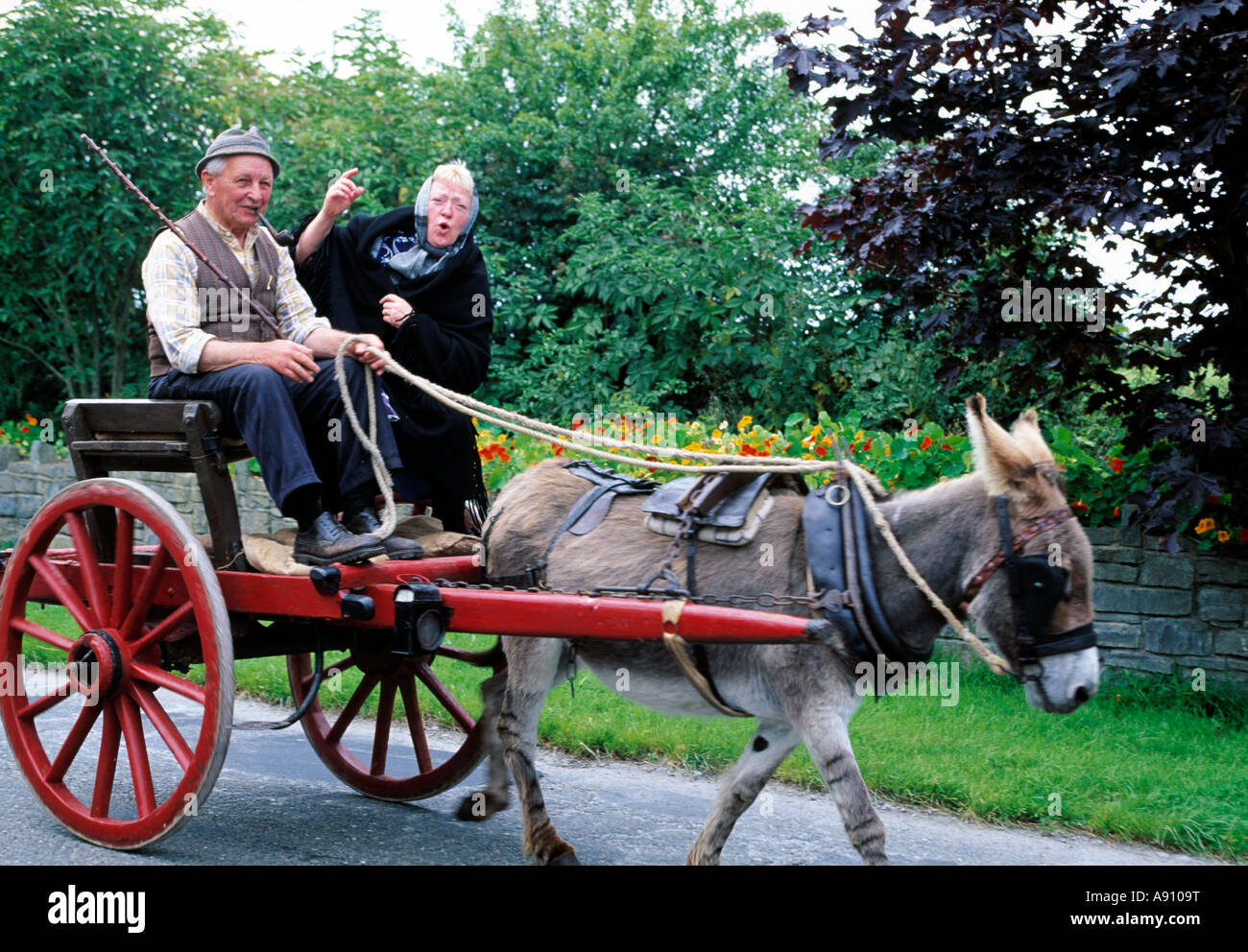 L'âne et le panier de transport rural irlandais, Banque D'Images