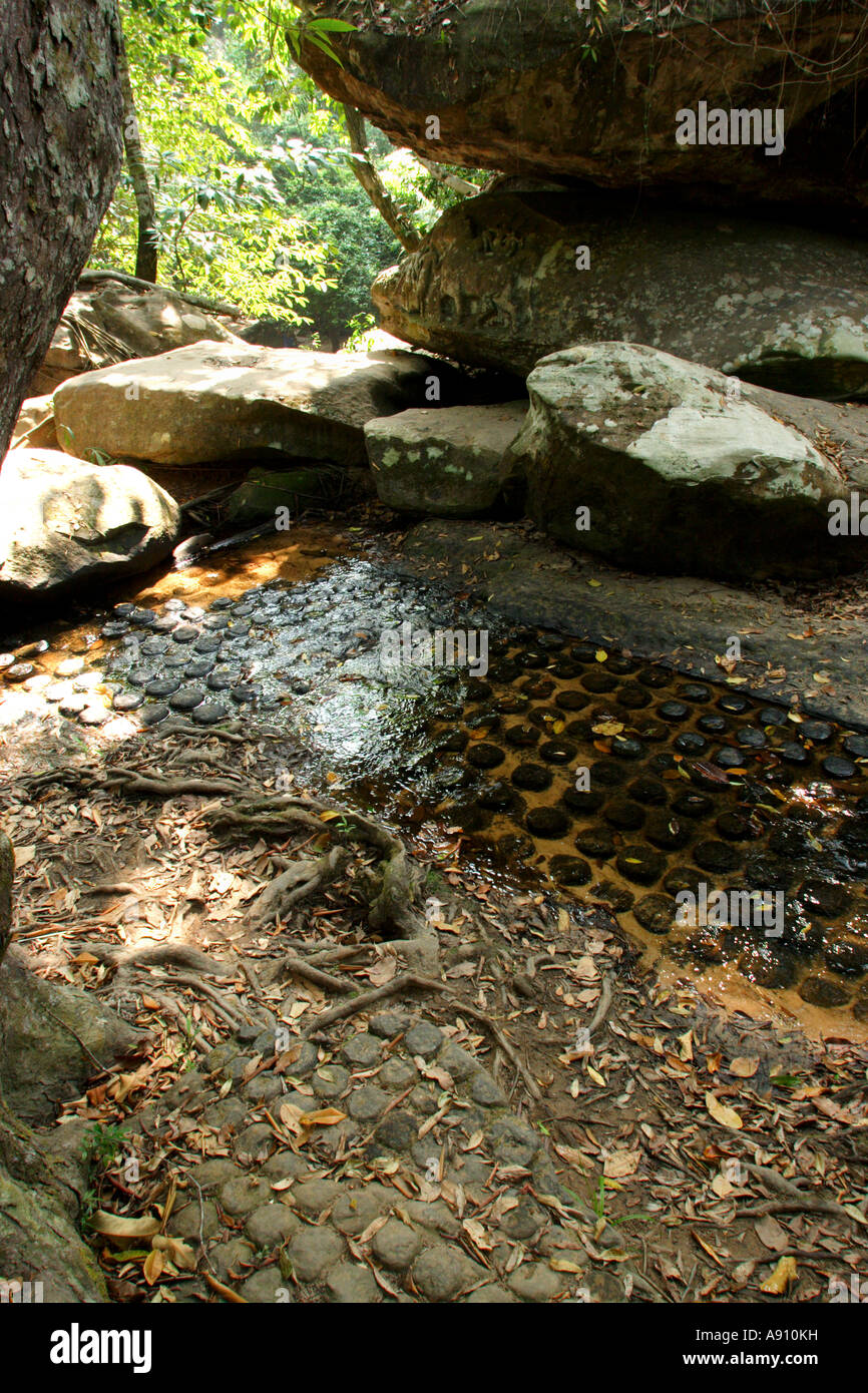 L'Asie, Cambodge, Kbal Spean, rivière qui coule au-dessus en forme de phallus lingas censées améliorer sa fertilité Banque D'Images