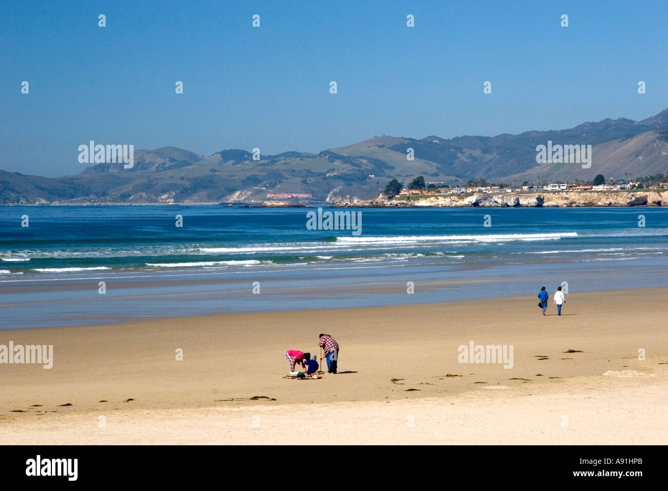 Les gens creuser pour les palourdes dans le sable à Pismo Beach, Californie. Banque D'Images