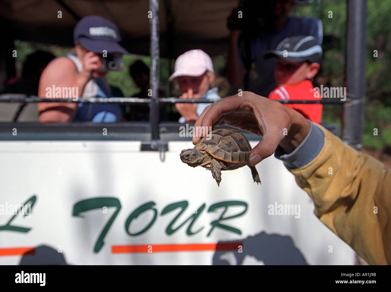 Les touristes avec une tortue de montagne en Turquie Banque D'Images