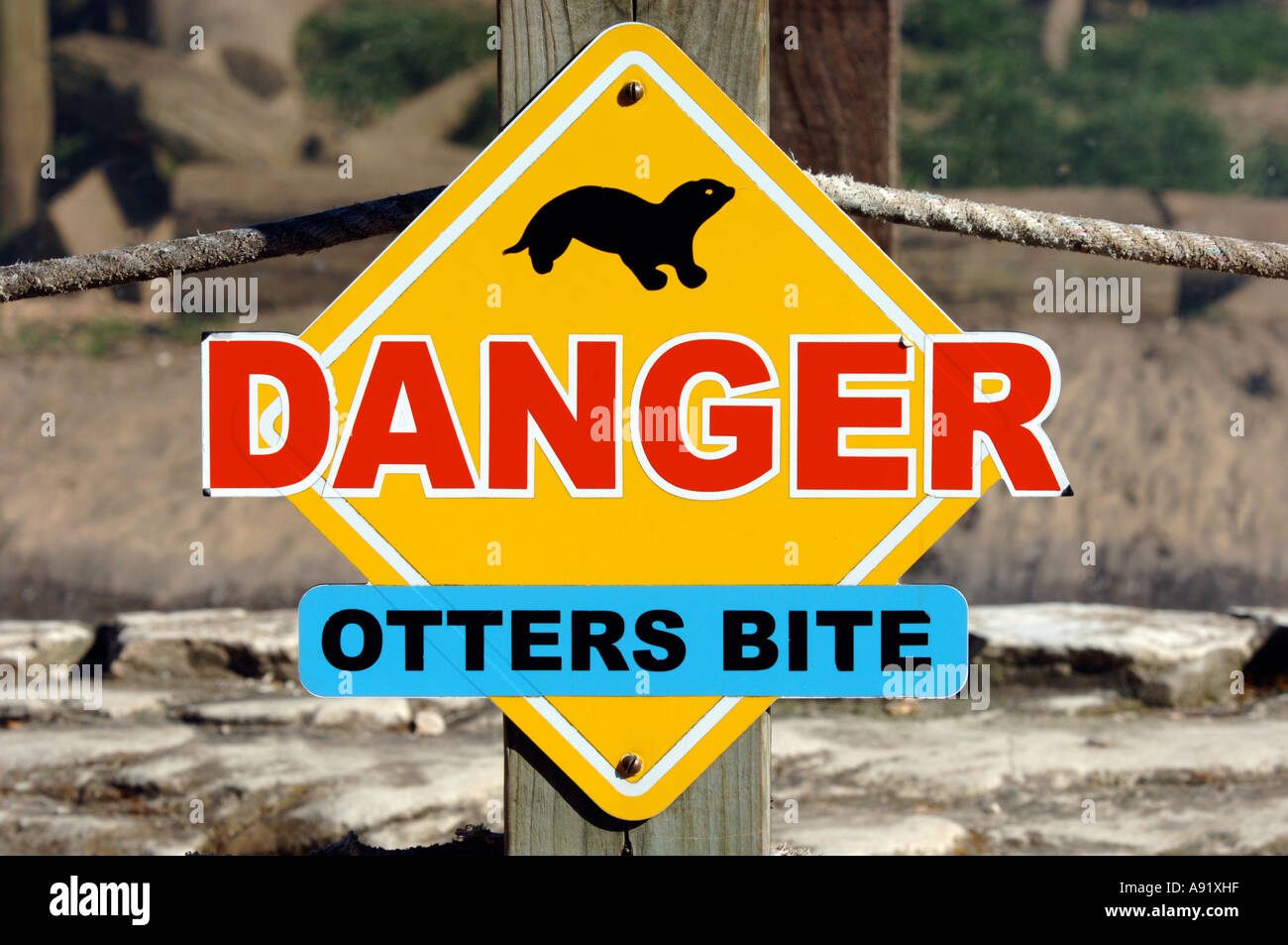 Les loutres signe Danger morsure Banque D'Images