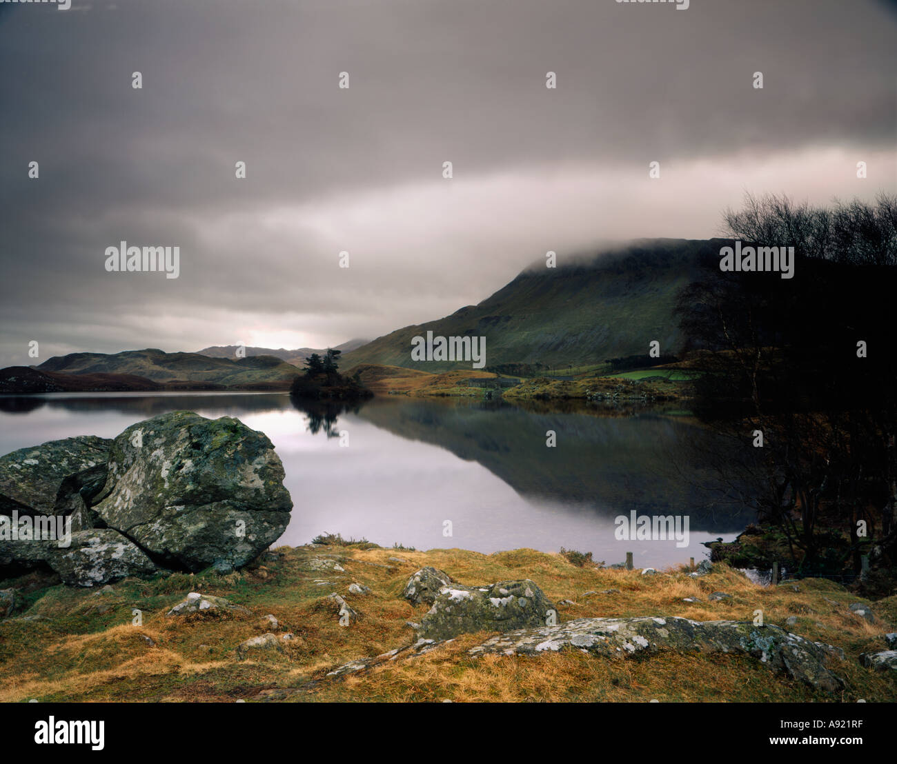 Lynnau Cregennen (lac) Cadir Idris Dogellau Gwynedd North Wales UK Banque D'Images