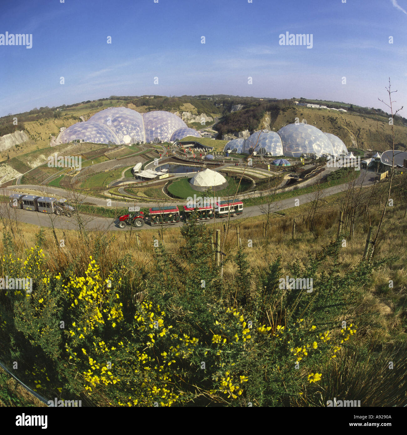 Très grand angle Fisheye vue sur parc paysage Biome et coupoles de l'Eden Project Cornwall Angleterre Banque D'Images