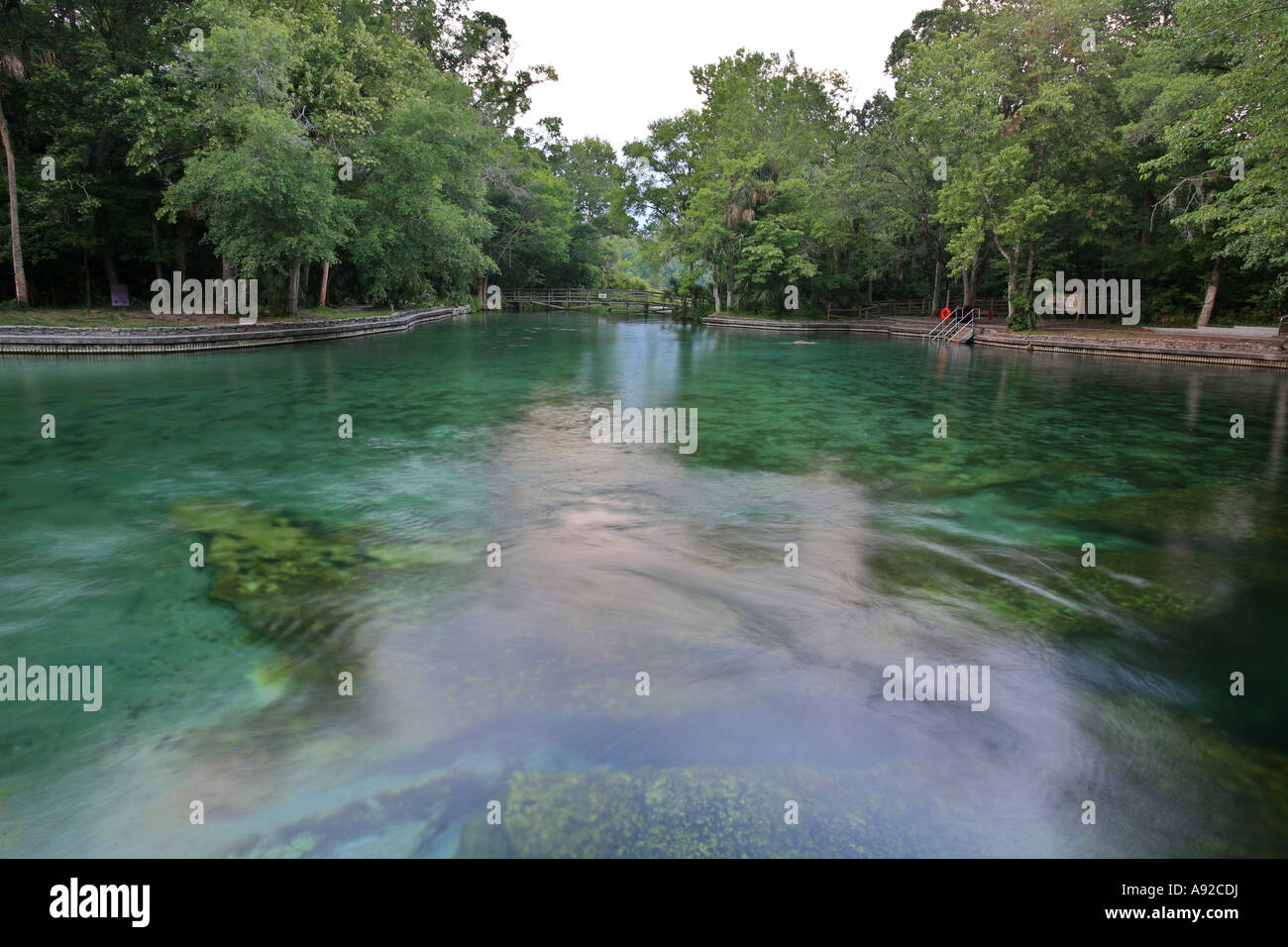 Wekiwa Springs près d'Orlando produit l'eau douce de l'aquifère de Floride, Floride, USA Banque D'Images