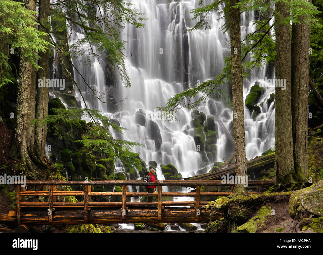 Ramona Falls Mount Hood Wilderness Oregon USA Banque D'Images