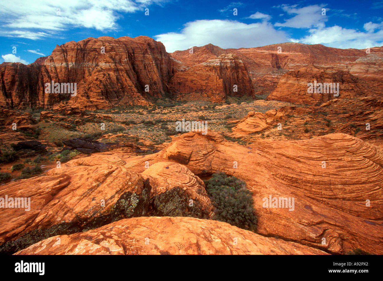 Snow Canyon State Park Utah USA Banque D'Images
